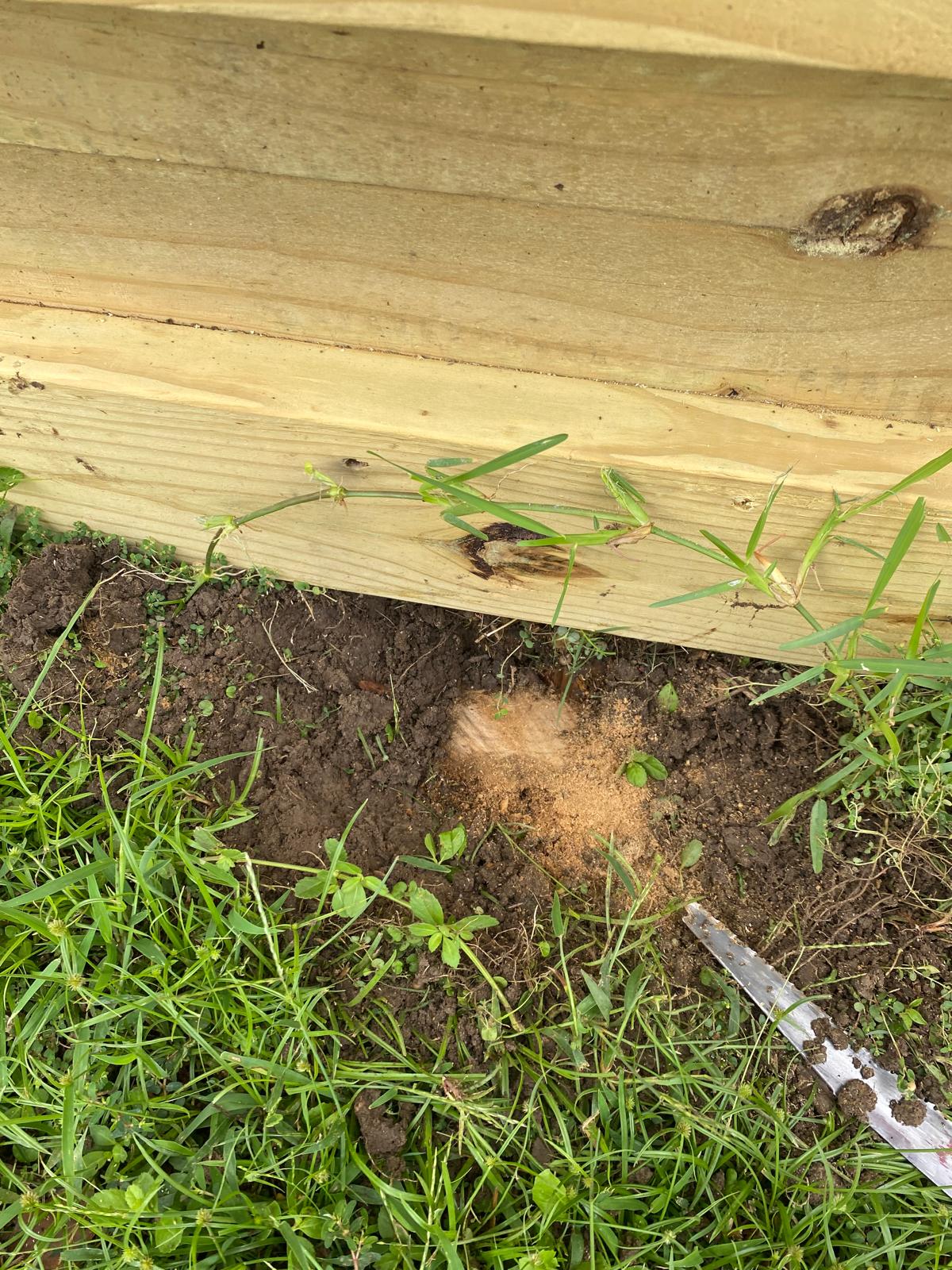 Comments on: Fence Replacement Project for Christopher in Crosby, Texas - Image 3